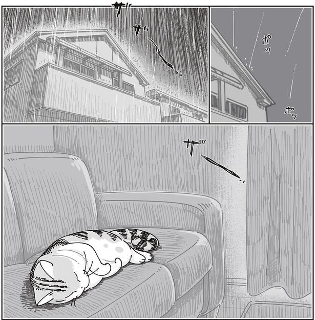 雨の日