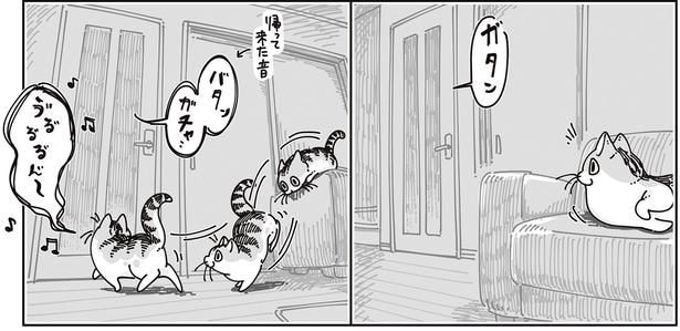 帰ってきた音