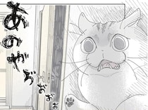 「あのやろぉ」「あけろぉ」風呂の外で文句を言うネコが微妙に言葉を話しているような