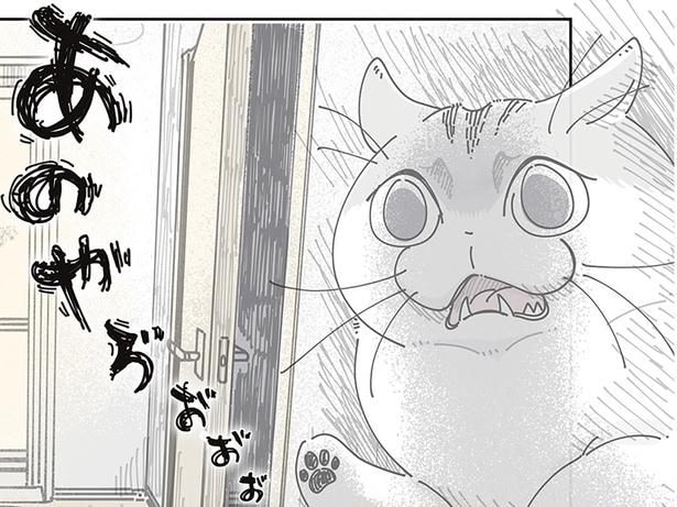 「あのやろぉ」「あけろぉ」風呂の外で文句を言うネコが微妙に言葉を話しているような