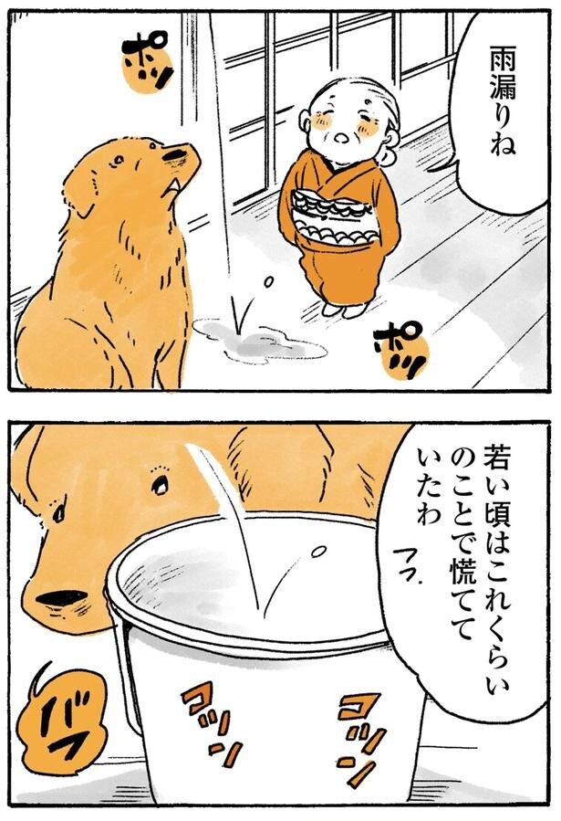 雨漏りね