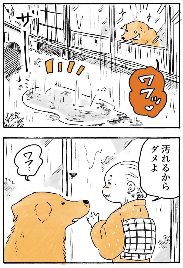 汚れるからダメよ