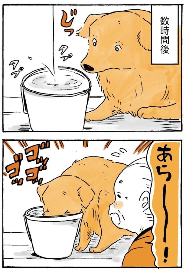 数時間後
