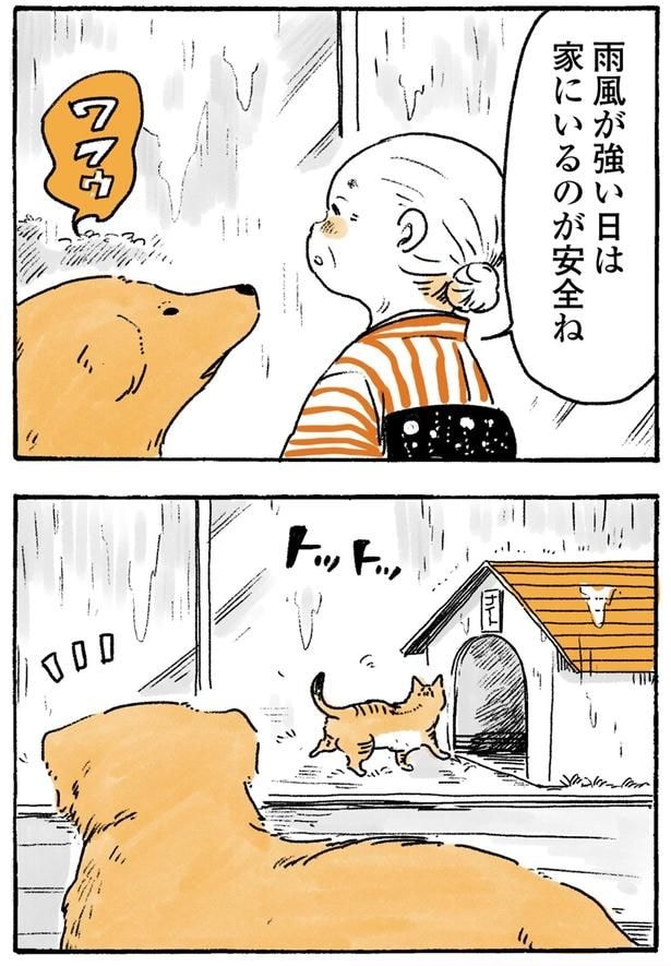 雨風が強い日は