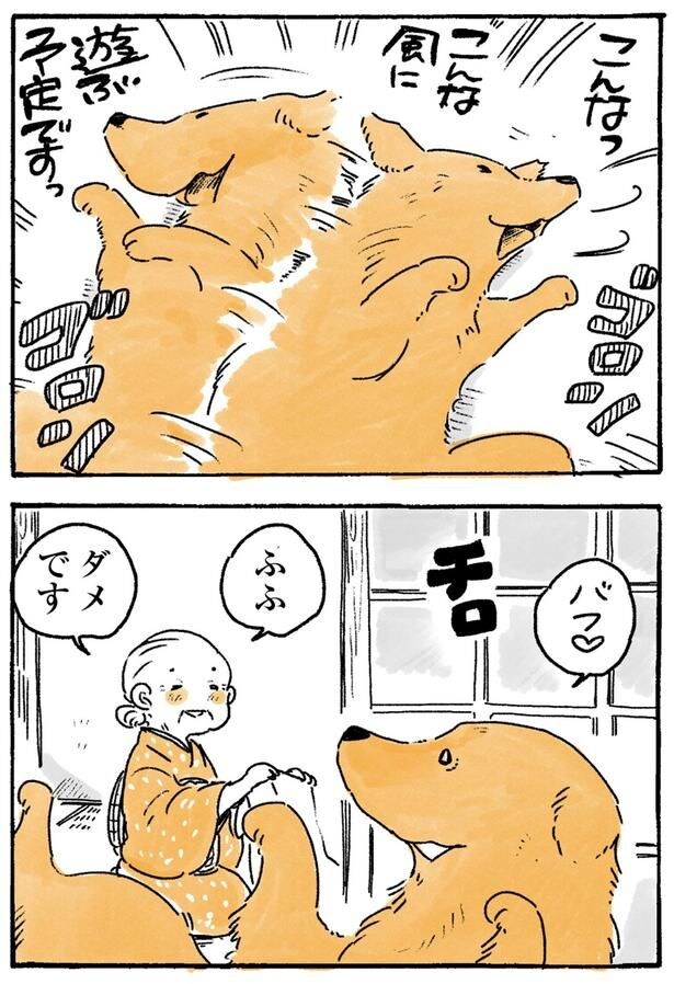 ダメです