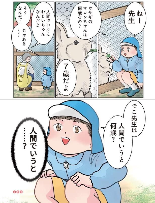 先生は人間でいうと何歳？