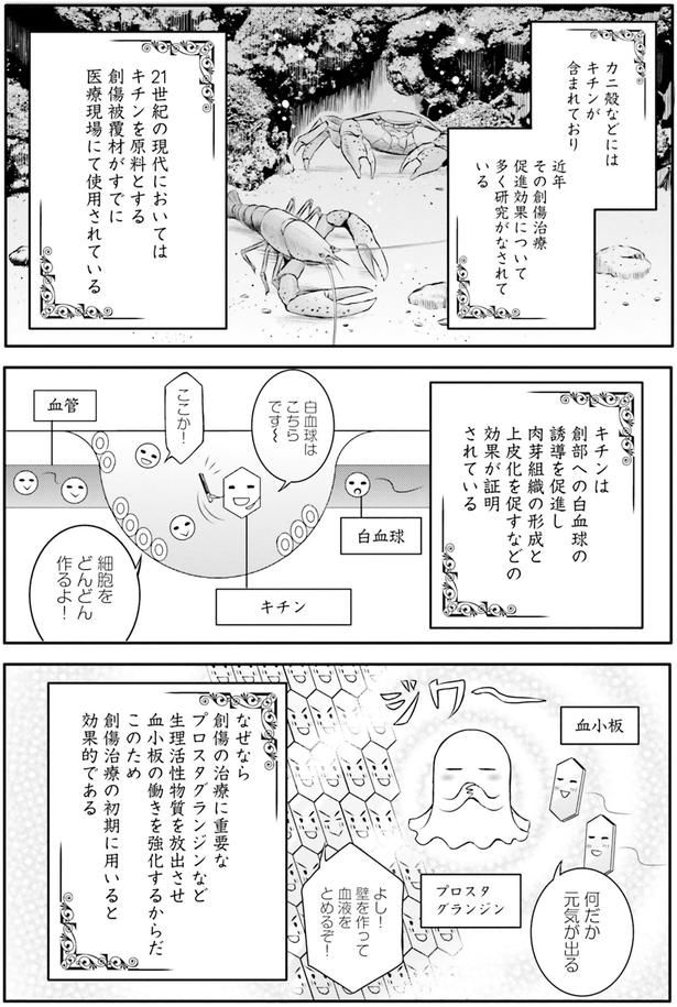 キチンは