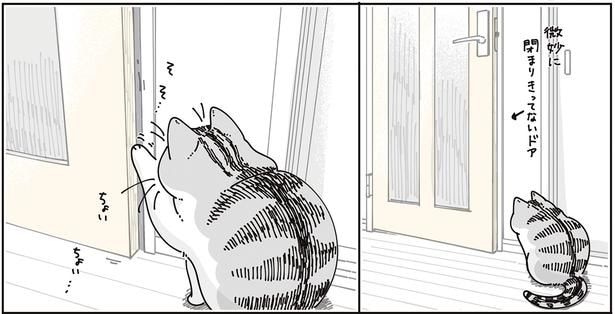 微妙に閉まりきってないドア
