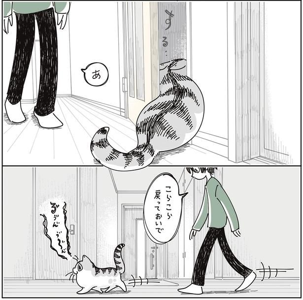 戻っておいで