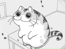 抱っこで連れ戻されていくネコ。別の日にも同じように抱っこしようとすると？
