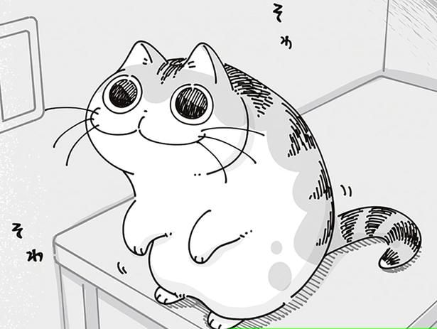 抱っこで連れ戻されていくネコ。別の日にも同じように抱っこしようとすると？