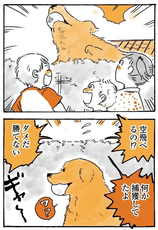 空飛べるの!?