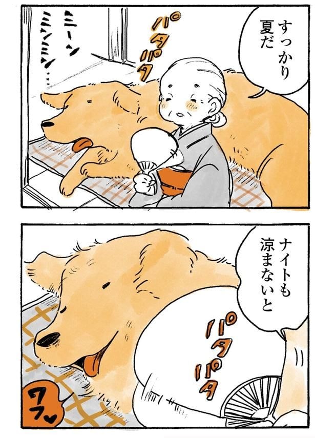 ナイトも涼まないと