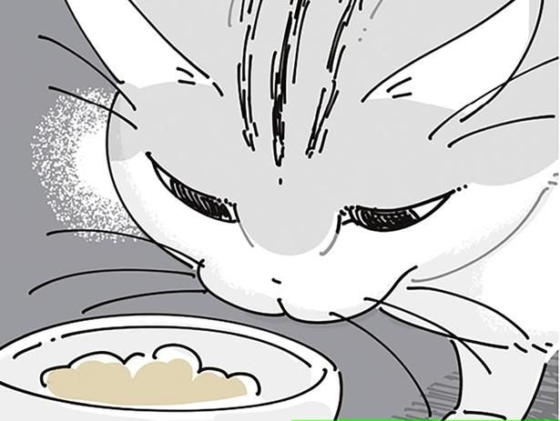 ごはんを用意したのに