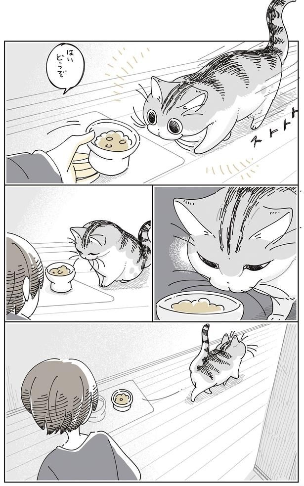 どうぞ