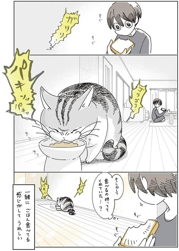 もしかして