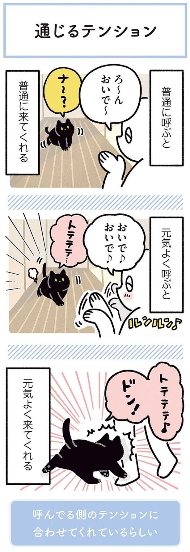 おいで～