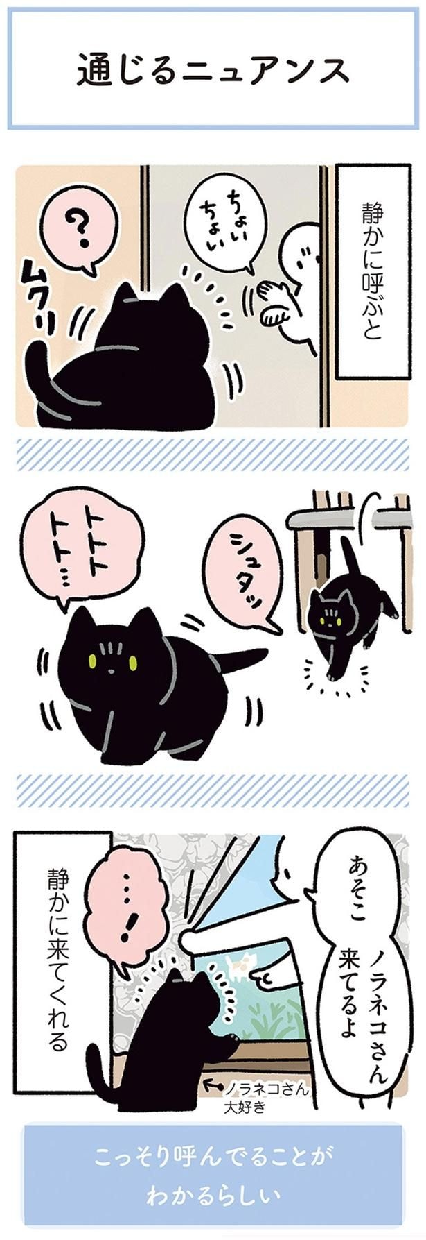 静かに来てくれる