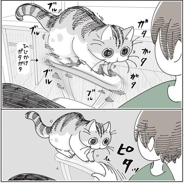 ピタッ