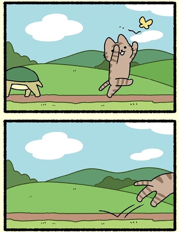 ねこは…