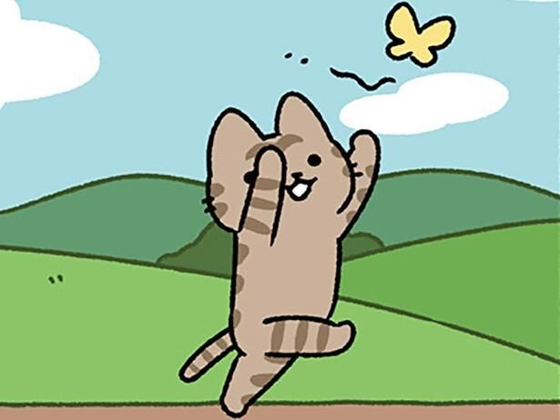 【うさぎとカメとねこ】競争とは一体？ スタートしても自由すぎるねこ