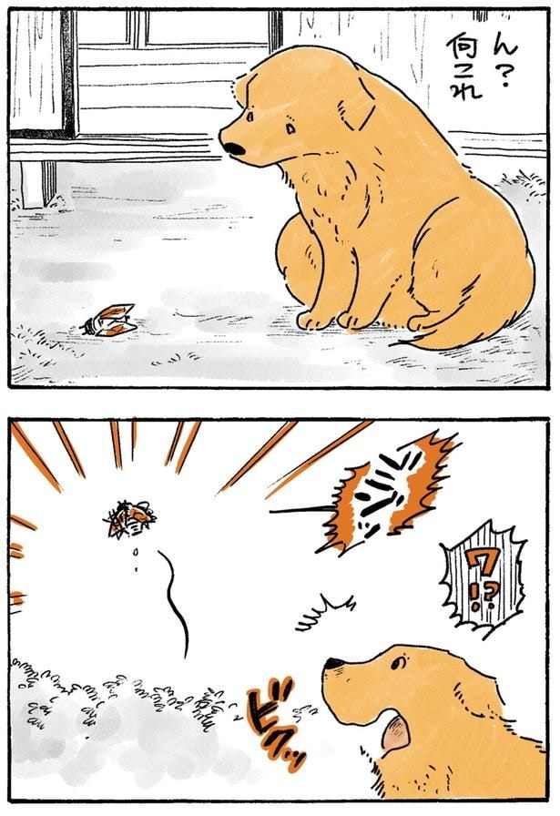 何これ