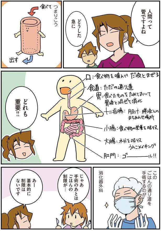 人間は管