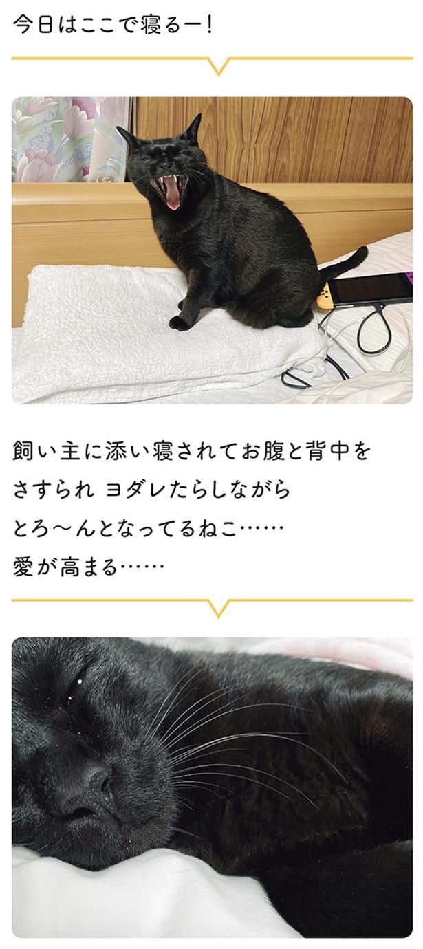 今日はここで寝るー！