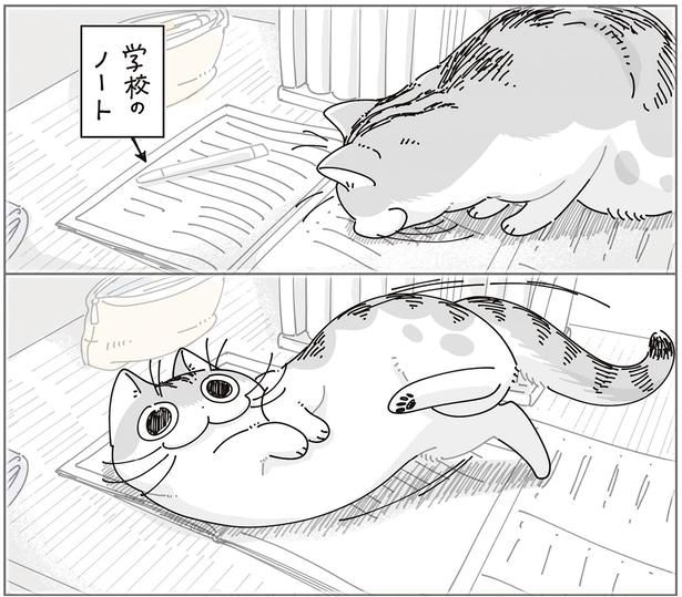 学校のノート