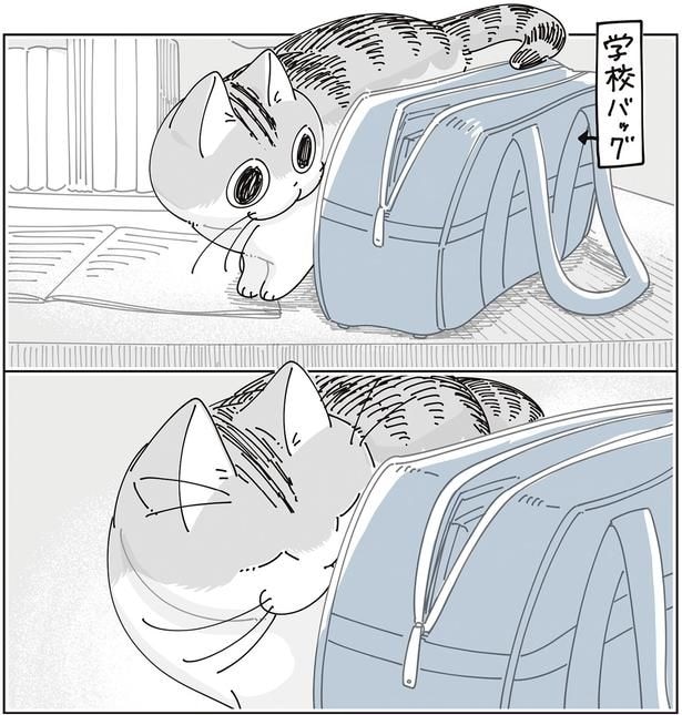 学校バッグ
