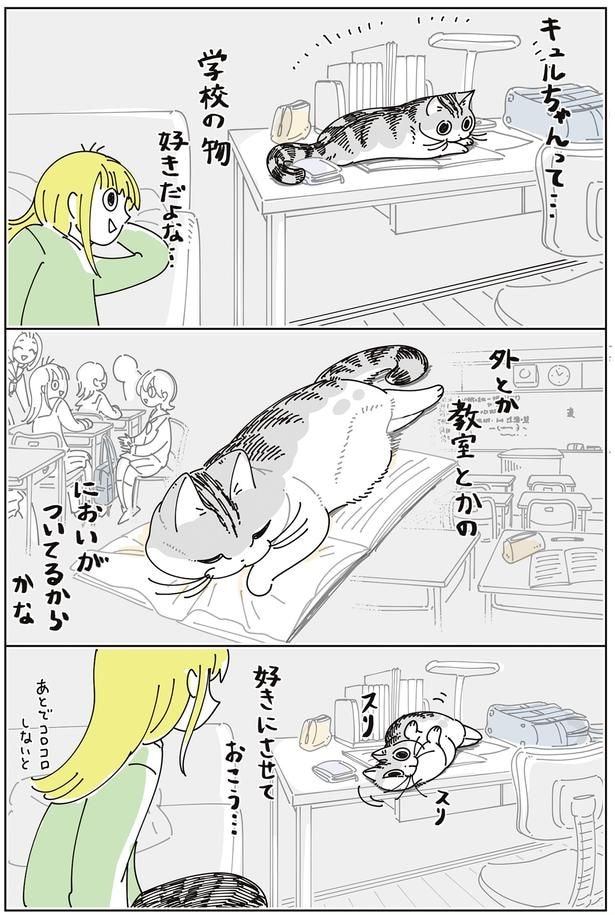 好きにさせておこう…