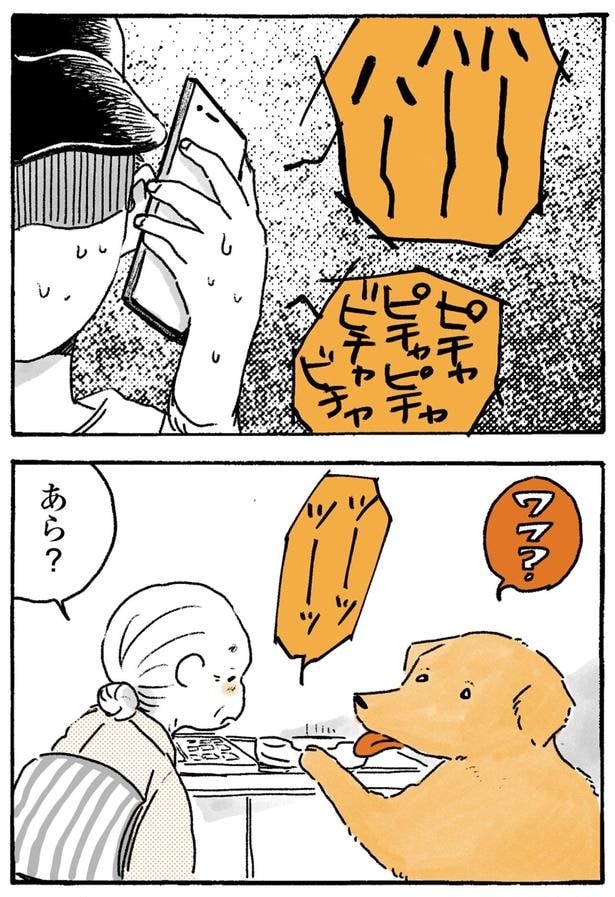 あら？