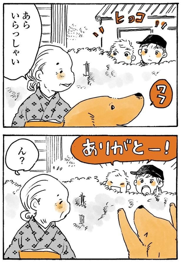 あらいらっしゃい