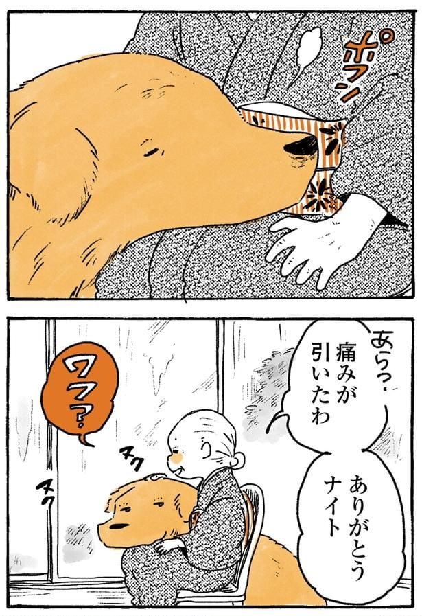 痛みが引いたわ