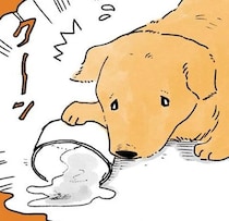 ひとりで外出したはずが。おばあちゃんの頭はレトリバーでいっぱい
