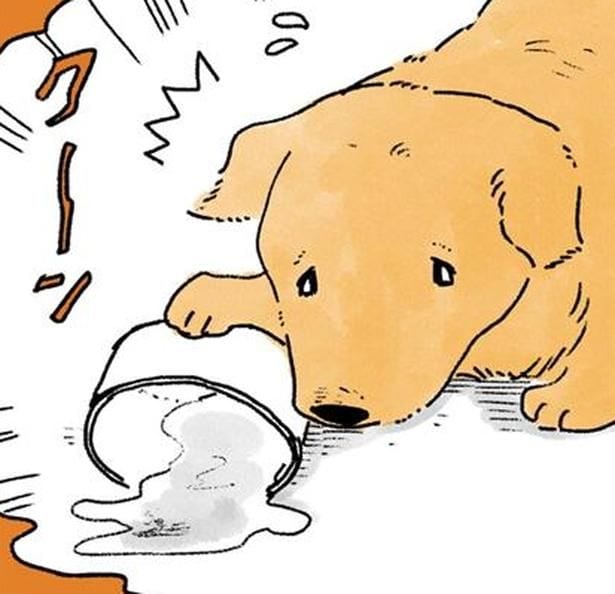 ひとりで外出したはずが。おばあちゃんの頭はレトリバーでいっぱい