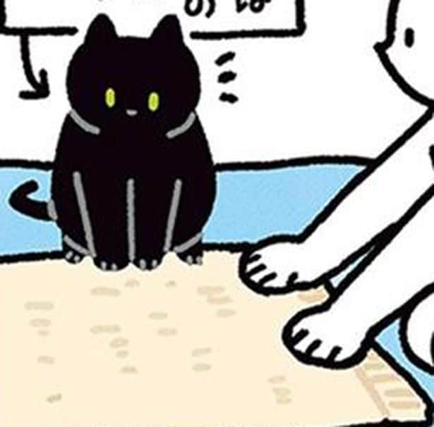 バスタオルを敷いた