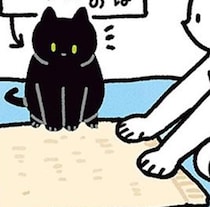夏に困っていた黒猫ろんの寝るスペース問題。バスタオル1枚で解決しました