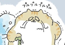 明日この世を去る老猫。飼い主を想い続けた末に選んだ「不幸」とは