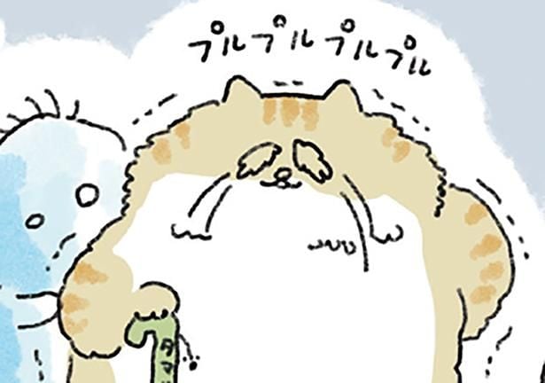 明日この世を去る老猫。飼い主を想い続けた末に選んだ「不幸」とは