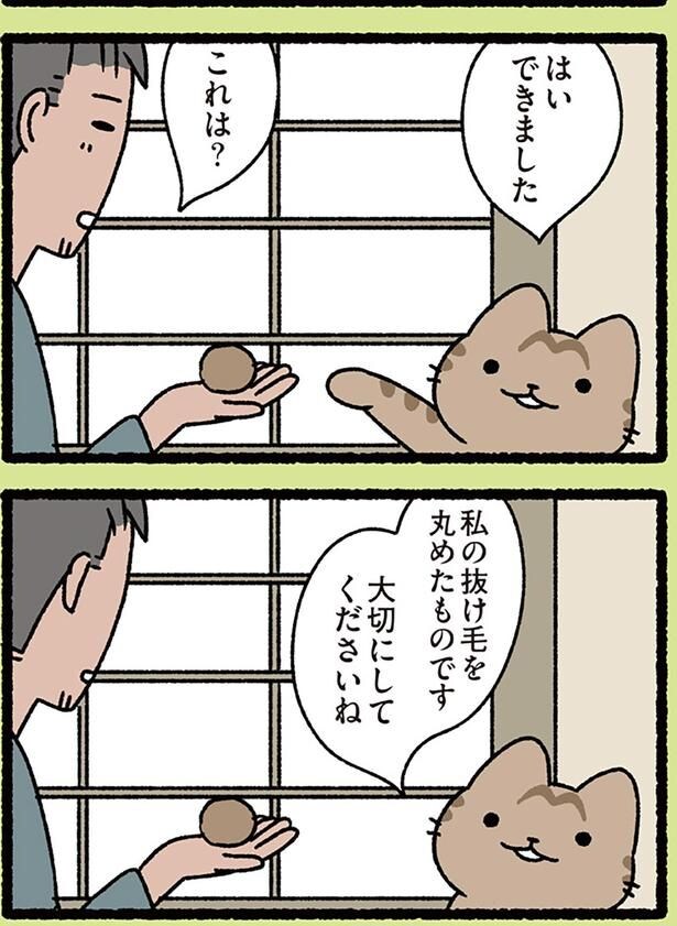これは？