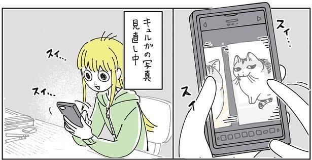 写真見直し中