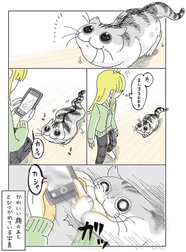 とびつかれている