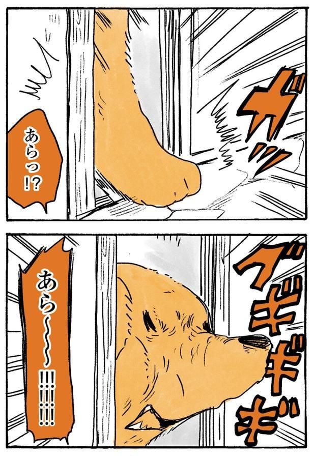 あら～！！！