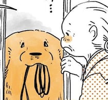 どこへ行くにも一緒がいい！おばあちゃん大好きレトリバーのお願い