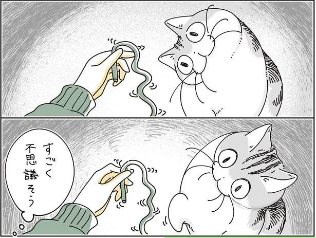 すごく不思議そう