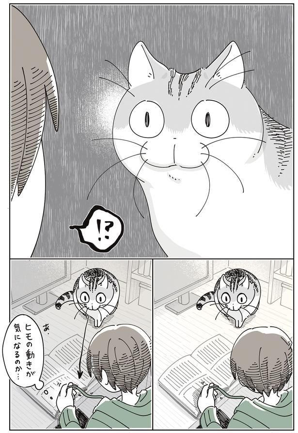ヒモの動きがきになるのか