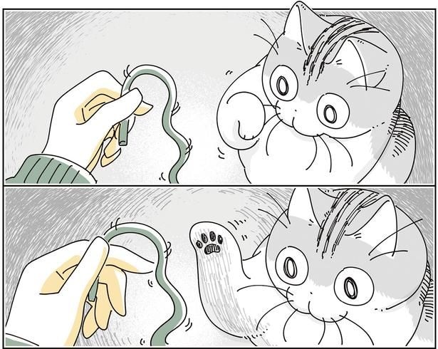 触ると思いきや
