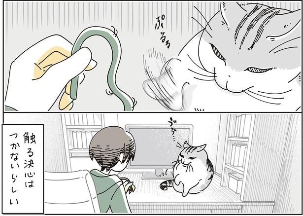 触らない