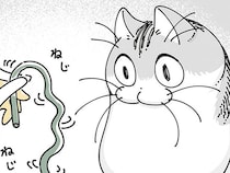 パーカーの紐をいじいじする飼い主。ネコは警戒＆不思議そうに見つめてきて